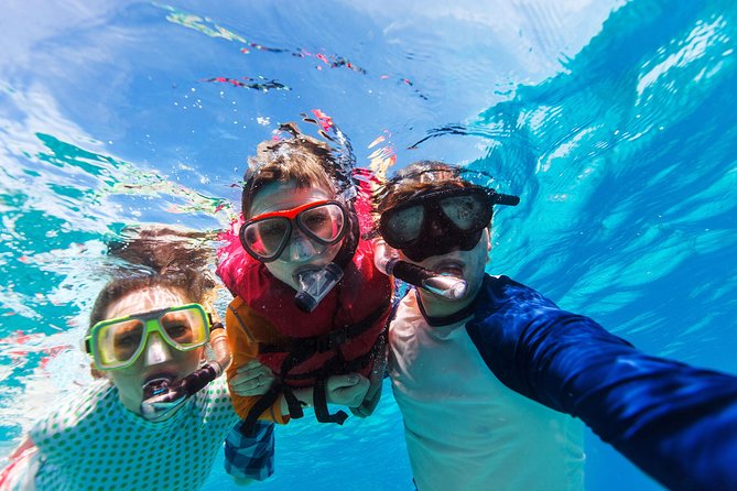 Snorkel & Swim with Turtles. Semi Private Tour to Buck Island & Honeymoon Beach - What the captains add to the trip