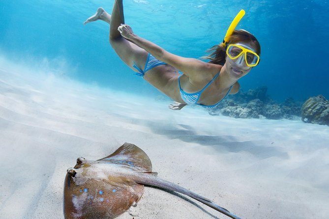 Snorkel & Swim with Turtles. Semi Private Tour to Buck Island & Honeymoon Beach - Brewers Bay is the practical weather alternative