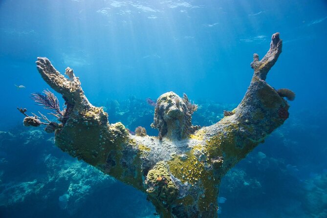 Snorkel Tour - Visit 2 Shallow Reefs John Pennekamp State Park - Key details to know before booking