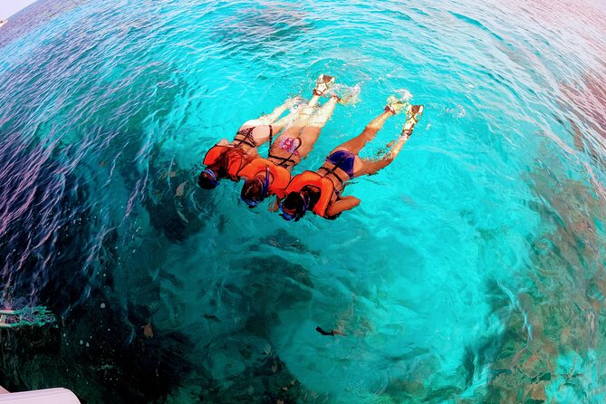 Snorkel Tour - Visit 2 Shallow Reefs John Pennekamp State Park - What the crew does well, and where you need to help yourself