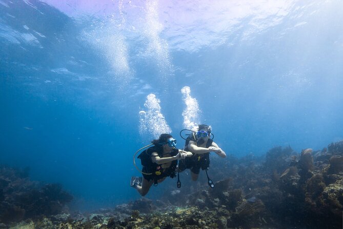 Snorkel Tour - Visit 2 Shallow Reefs John Pennekamp State Park - Marine life can be excellent, but nature sets the terms