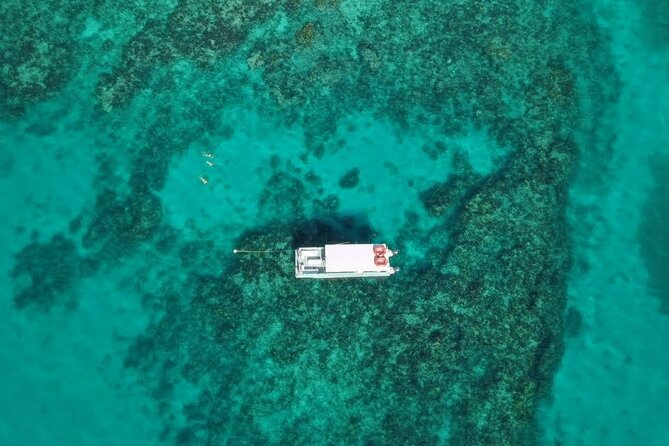 Snorkel Tour - Visit 2 Shallow Reefs John Pennekamp State Park - A practical morning checklist