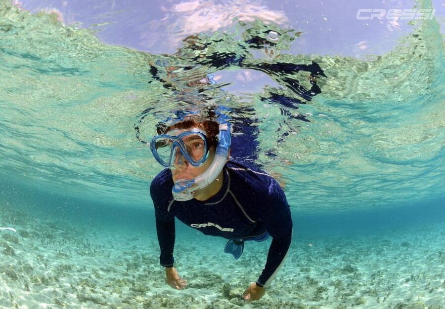 Snorkel tour, why not? - Why the guide makes the difference
