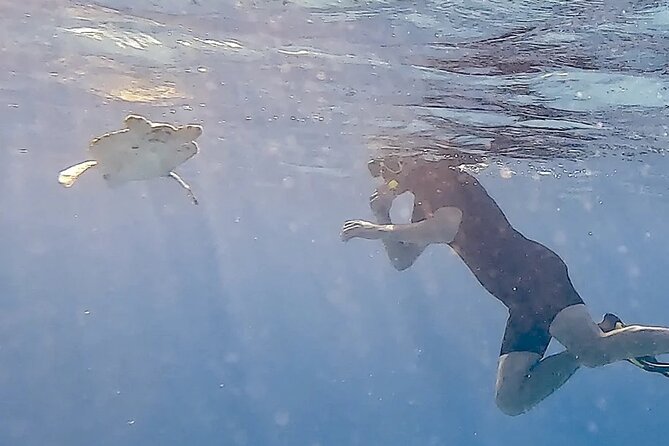 Snorkel with Turtles & see the Flamingos - Starting at Te Amo Beach
