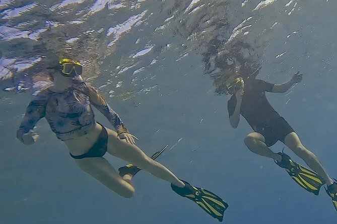 Snorkel with Turtles & see the Flamingos - Extra stops can make the route feel personal