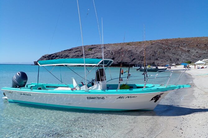 Snorkel with whale sharks includes equipment & transportation - Who will enjoy this experience most