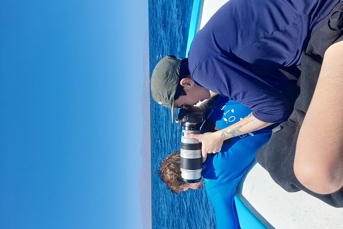 Snorkel with whale sharks includes equipment & transportation - Cancellation, weather, and minimum numbers