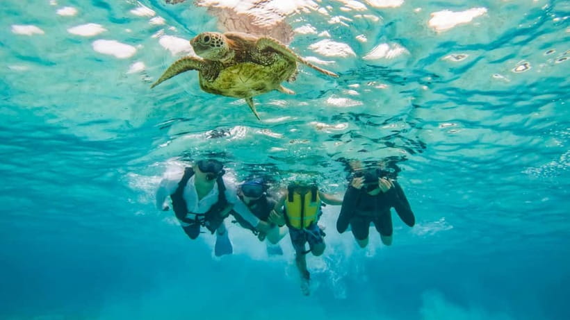 Snorkeling Activity in Okinawa Miyako Japan - Choosing the best water for the day