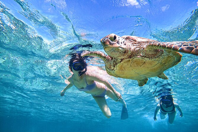 Snorkeling Activity in Okinawa Miyako Japan - Meeting at Shigira Beach Parking Lot