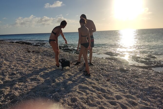 Snorkeling and Grilling Fresh Fish at Donkey Beach - Why this Donkey Beach outing feels different