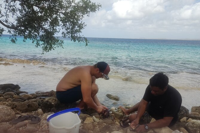 Snorkeling and Grilling Fresh Fish at Donkey Beach - Who should book this experience