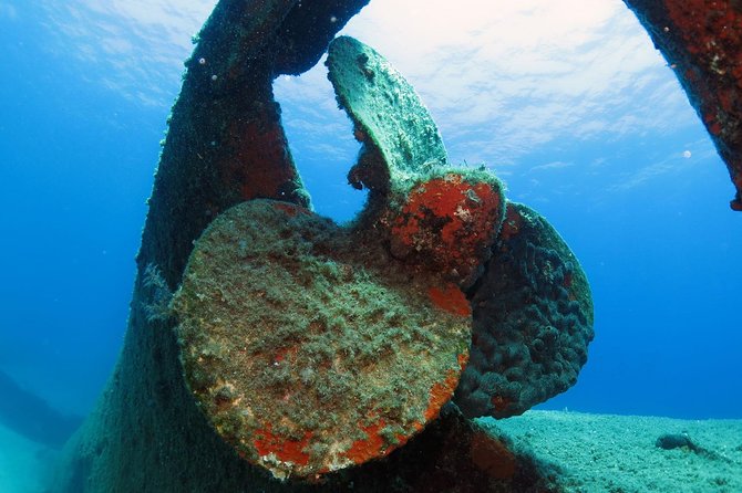 Snorkeling and swimming tour to the Poseidon's temple at Sounio cape - Should you book the Cape Sounion snorkeling tour?