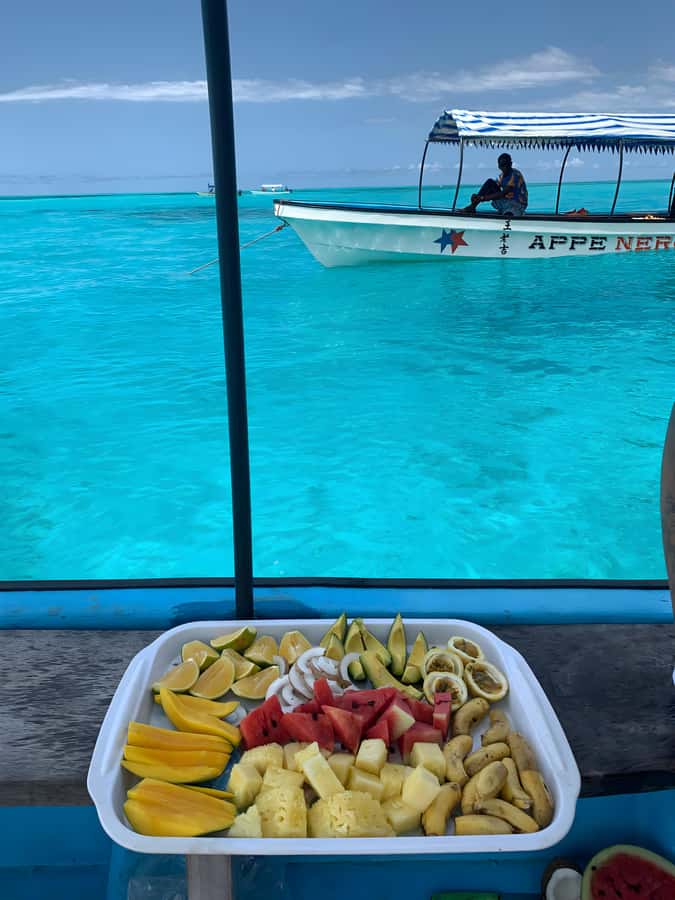 Snorkeling and swimming with dolphins in mnemba island - What the $80 Price Really Covers