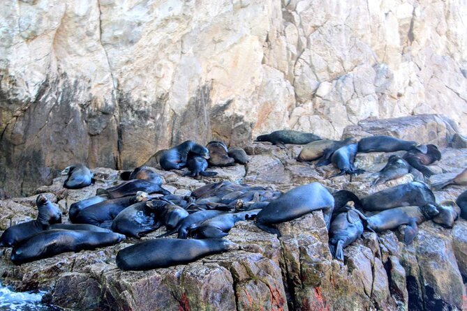 Snorkeling and whale watching Tour in Cabo - El Arco is the visual centerpiece