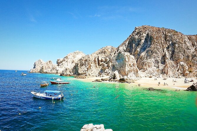 Snorkeling and whale watching Tour in Cabo - What the $850 price means for your group