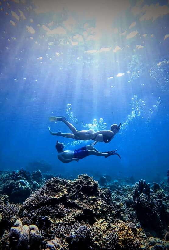 Snorkeling around 3 island & turtle sanctuary - Fish gardens around Gili Air