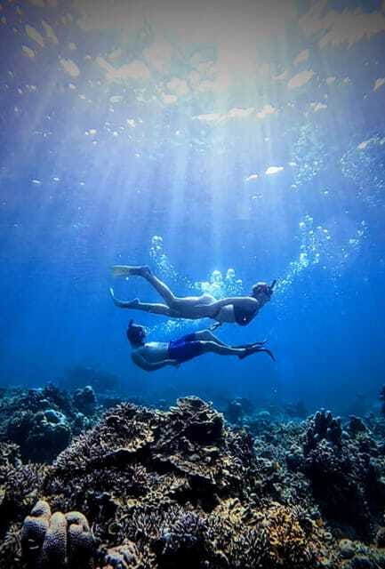 Snorkeling around 3 island & turtle sanctuary - Turtle Point is the wildlife highlight