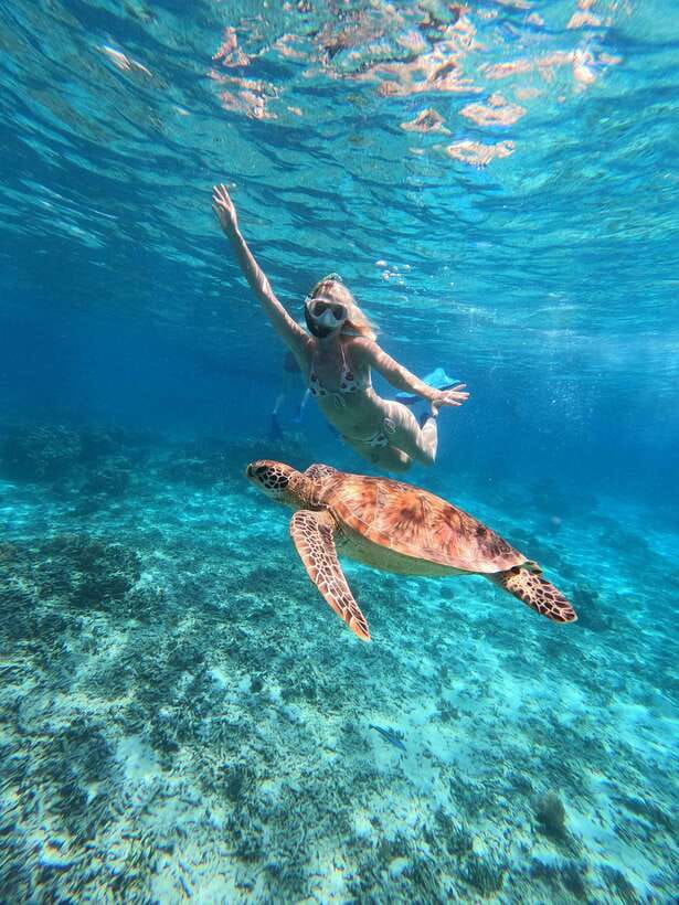 Snorkeling around 3 island & turtle sanctuary - What the four-hour schedule really gives you