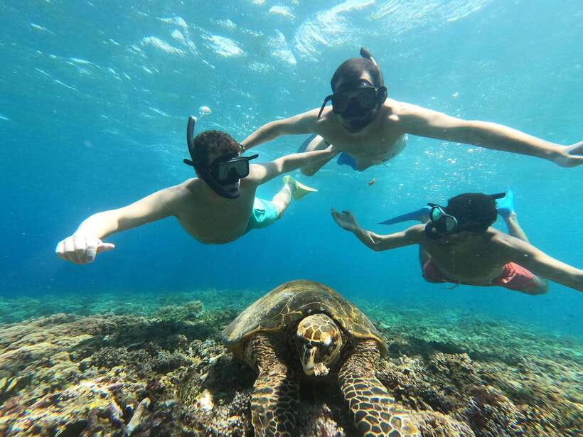 Snorkeling around 3 island & turtle sanctuary - Crowds, guides, and the practical trade-off