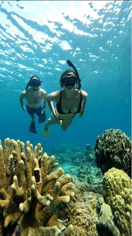 Snorkeling around 3 island & turtle sanctuary - Gili Meno adds turtles and a change of pace