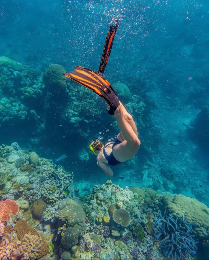 Snorkeling at Blue Lagoon, Tanjung Jepun and Waterfall - Two snorkeling sites on Bali’s east coast