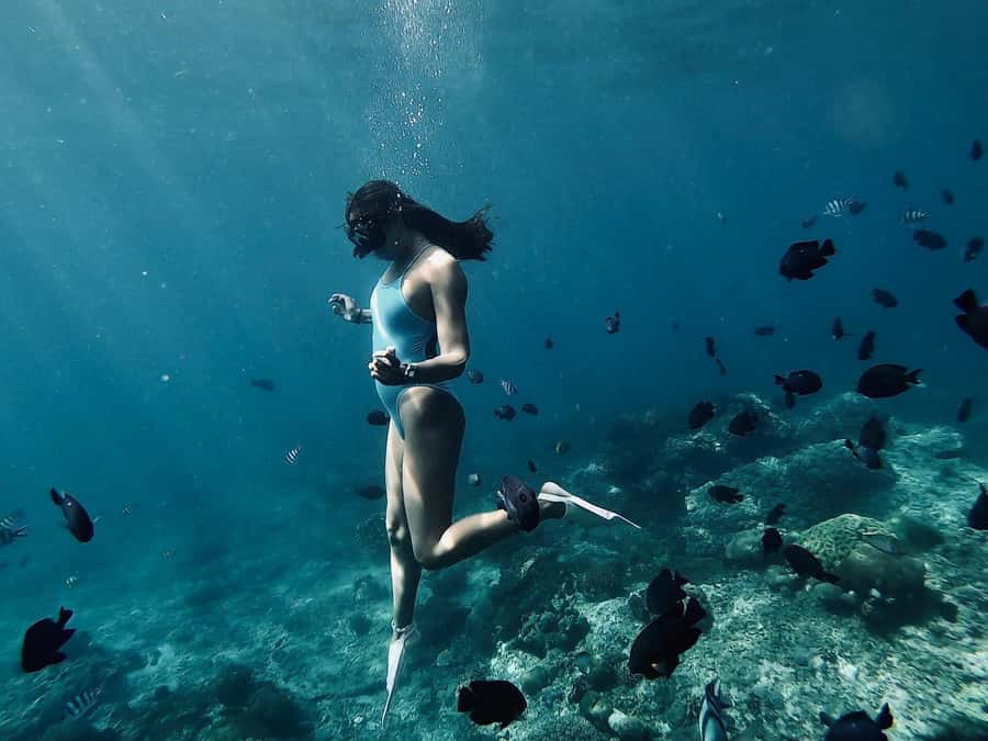 Snorkeling at Blue Lagoon, Tanjung Jepun and Waterfall - What the underwater time is like