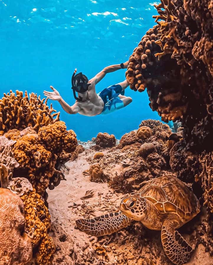 Snorkeling at Blue Lagoon, Tanjung Jepun and Waterfall - Lunch, shower, and the inland change of pace