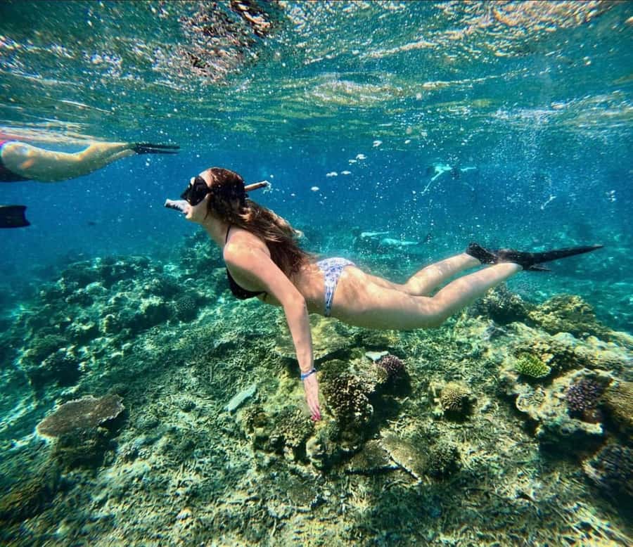 Snorkeling at Blue Lagoon, Tanjung Jepun and Waterfall - Is $67 good value?
