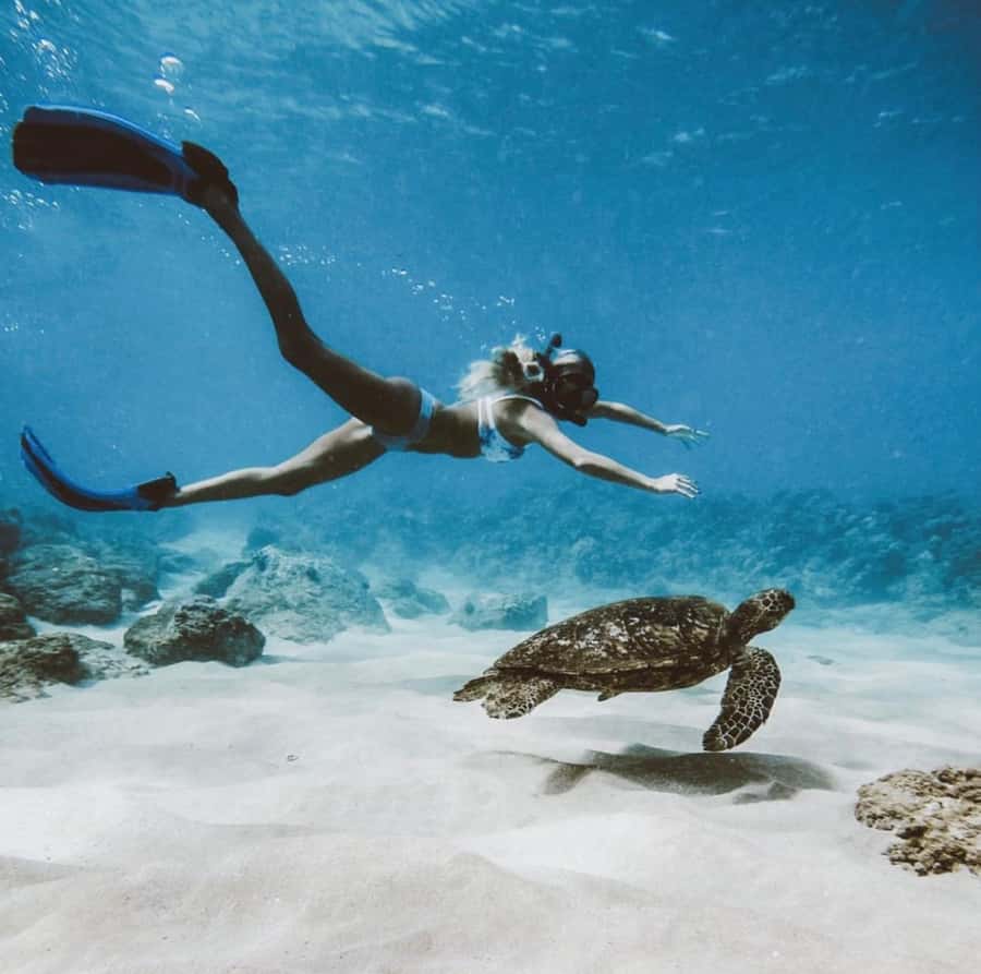 Snorkeling at Blue Lagoon, Tanjung Jepun and Waterfall - Should you book it?
