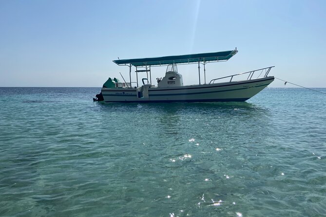 Snorkeling at Dimaniyat Islands and Dolphin Watching - Beaches, coral, and a change of scenery