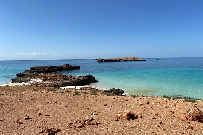 Snorkeling at Dimaniyat Islands and Dolphin Watching - Who should book this boat trip
