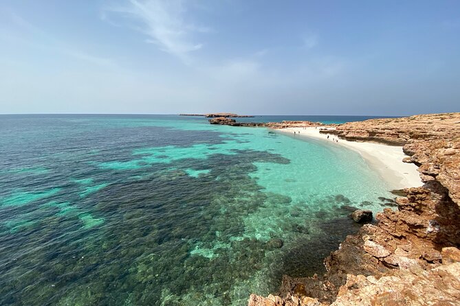 Snorkeling at Dimaniyat Islands and Dolphin Watching - Practical details before you reserve