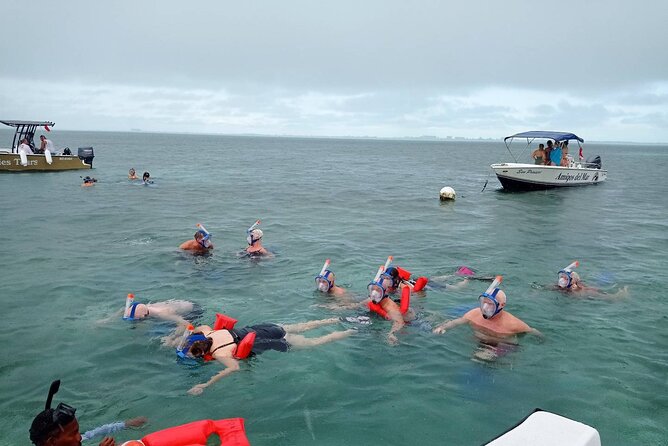 Snorkeling at Hol Chan Marine Reserve and Shark Ray Alley - What the $80 price buys you