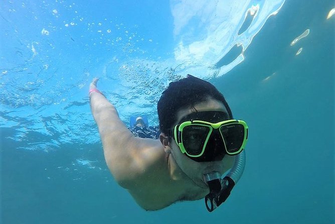 Snorkeling & Beach Brake With Different Options - Snorkeling around La Roqueta