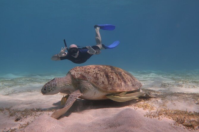 Snorkeling Boat Trip with Dugongs and Turtles in Marsa Alam - Reaching Marsa Mubarak from Port Ghalib