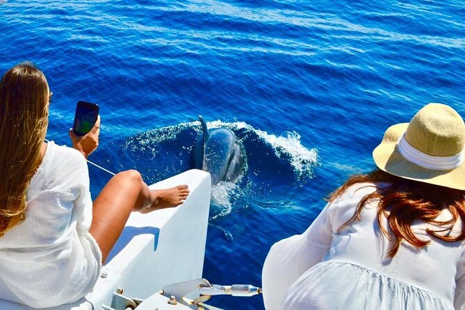 Snorkeling Catamaran Tour at Santa Maria Bay - Leaving Cabo Marina at 1:00 pm
