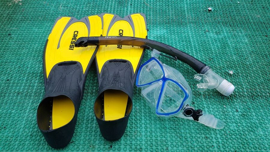 Snorkeling Cham Island: Snorkeling Tour by Speed Boat - Practical planning for the boat and beach