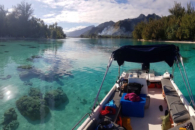 Snorkeling excursion, discovery of the lagoon, small group. - Why the six-person boat changes the day