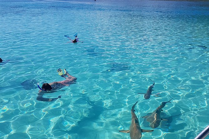 Snorkeling excursion, discovery of the lagoon, small group. - Alex’s guiding style is part of the value