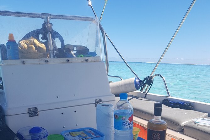 Snorkeling excursion, discovery of the lagoon, small group. - What the $118.46 price buys you