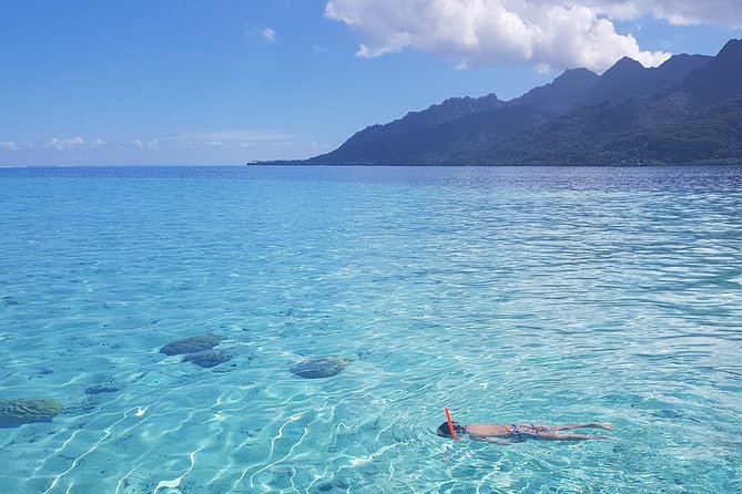 Snorkeling excursion, discovery of the lagoon, small group. - Who will enjoy this Moorea outing most