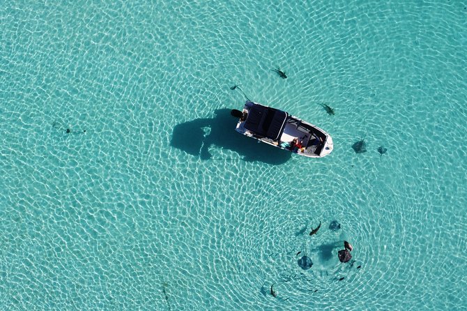 Snorkeling excursion, discovery of the lagoon, small group. - Weather, cancellations, and practical planning
