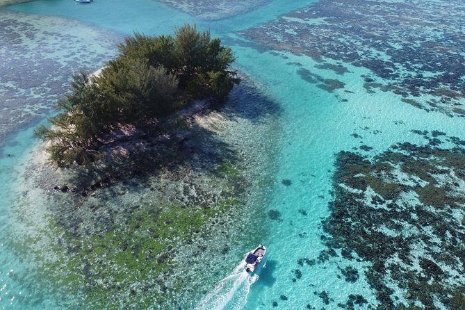 Snorkeling excursion, discovery of the lagoon, small group. - FAQ