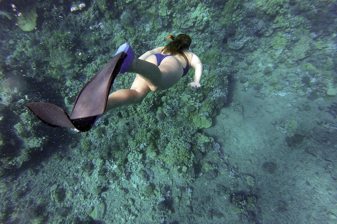 Snorkeling Fun Adventure in Athenian Riviera - From Athens accommodation to the Athenian Riviera