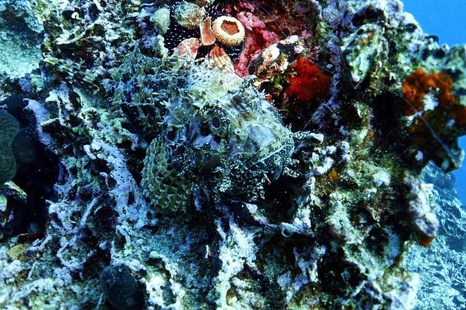 Snorkeling Fun Adventure in Athenian Riviera - Weather, cancellation, and timing