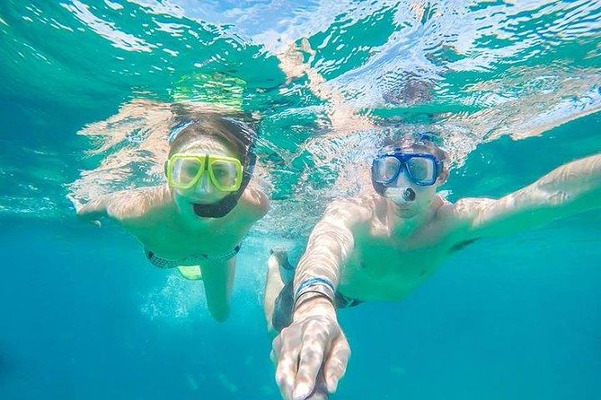 Snorkeling in Cabo San Lucas on 35' Sea Amore Trimaran - Quick points to know before you book