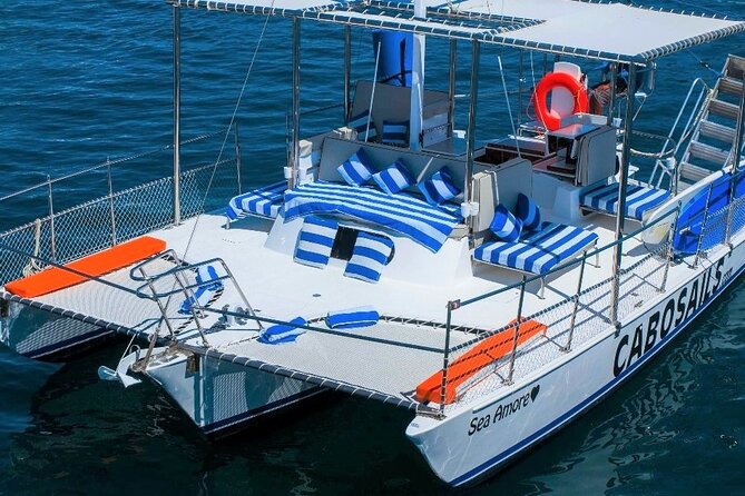 Snorkeling in Cabo San Lucas on 35' Sea Amore Trimaran - What the $990 price really means