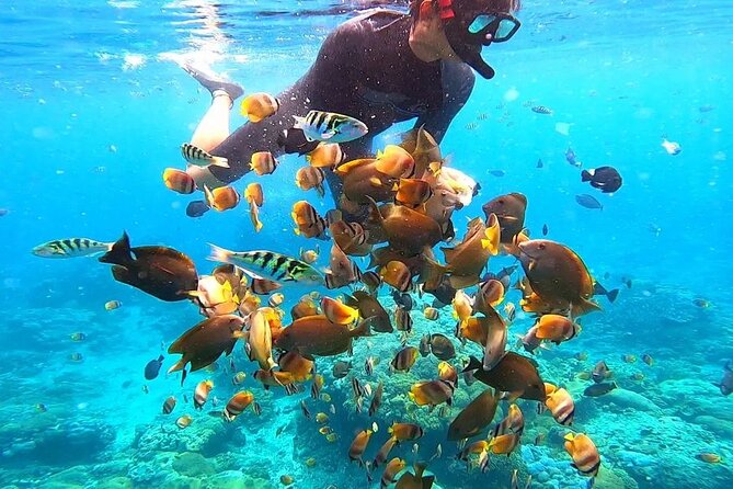 Snorkeling In Nusa Penida And Uluwatu Sunset Tours - Lunch and the return to Bali