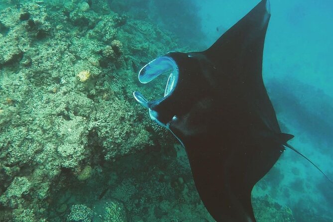 Snorkeling In Nusa Penida And Uluwatu Sunset Tours - The Kecak and Fire Dance after dark