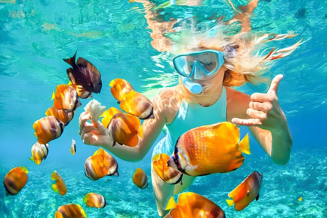 Snorkeling In Nusa Penida And Uluwatu Sunset Tours - Is $180.50 a fair price?